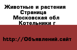  Животные и растения - Страница 2 . Московская обл.,Котельники г.